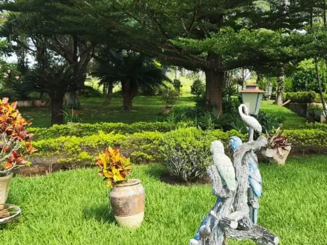 Fazenda venda em Centro histórico tombado pelo IPHAN, Pirenópolis