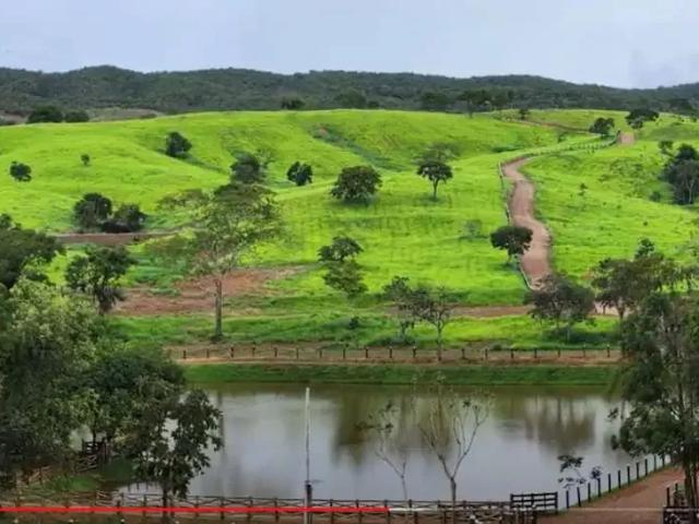Fazenda venda em Região Geográfica Imediata de Anápolis, Região Integrada de Desenvolvimento do Distrito Federal e Entorno
