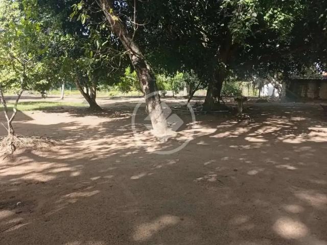 Fazenda venda em Mamanguape, Região Nordeste