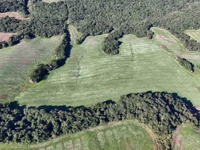 Fazenda venda em Região Geográfica Imediata de Pitanga, Pitanga