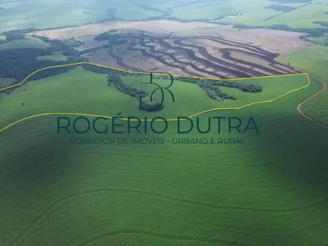 Fazenda venda em Região Geográfica Imediata de Londrina, Pitangueiras
