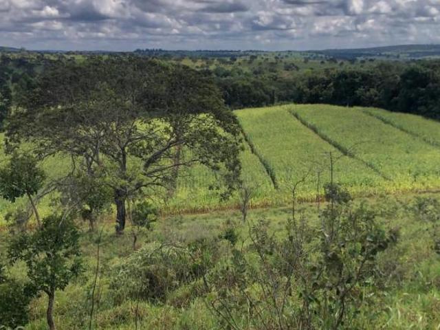 Sítio e chácara venda em Região Geográfica Imediata de Belo Horizonte, Região Metropolitana de Belo Horizonte