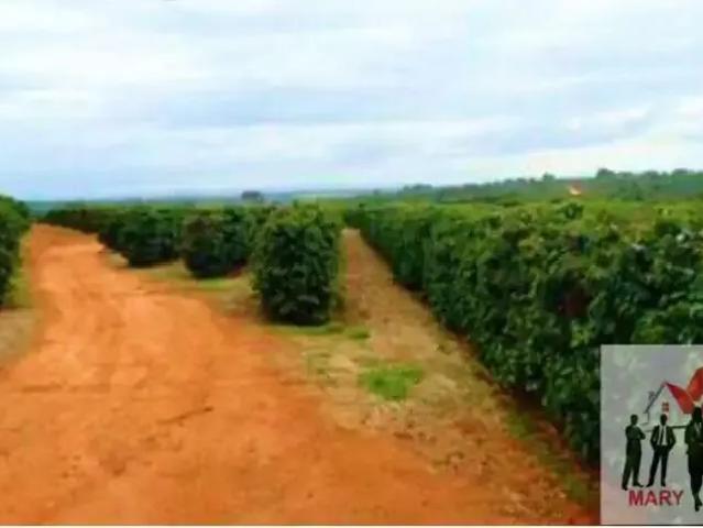 Fazenda venda em Região Geográfica Imediata de Piumhi, Jerumenha