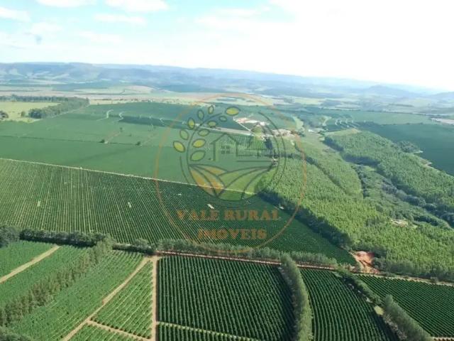 Fazenda venda em Região Geográfica Imediata de Piumhi, Jerumenha