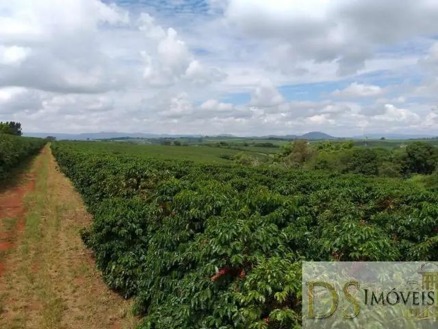 Fazenda venda em Região Geográfica Imediata de Piumhi, Jerumenha
