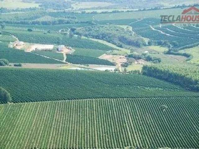 Fazenda venda em Pontevila, Formiga
