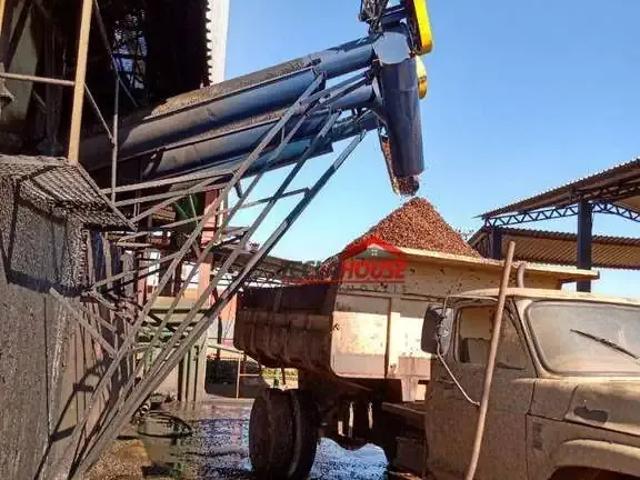 Fazenda venda em Região Geográfica Imediata de Piumhi, Jerumenha