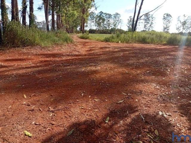 Fazenda venda em Região Geográfica Imediata de Piumhi, Jerumenha