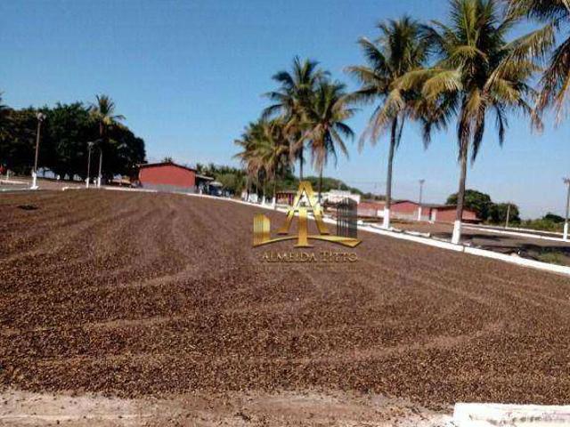 Fazenda venda em Região Geográfica Imediata de Piumhi, Jerumenha