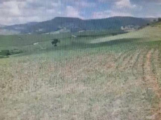 Fazenda venda em Região Geográfica Imediata de Piumhi, Jerumenha