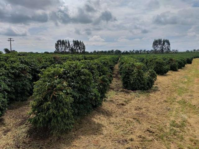 Fazenda venda em Região Imediata de Campinas, Região Metropolitana de Campinas