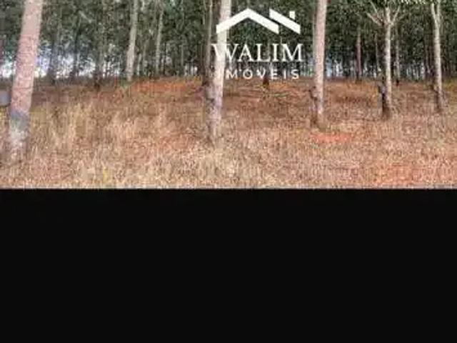 Fazenda venda em Região Geográfica Imediata de Piumhi, Jerumenha
