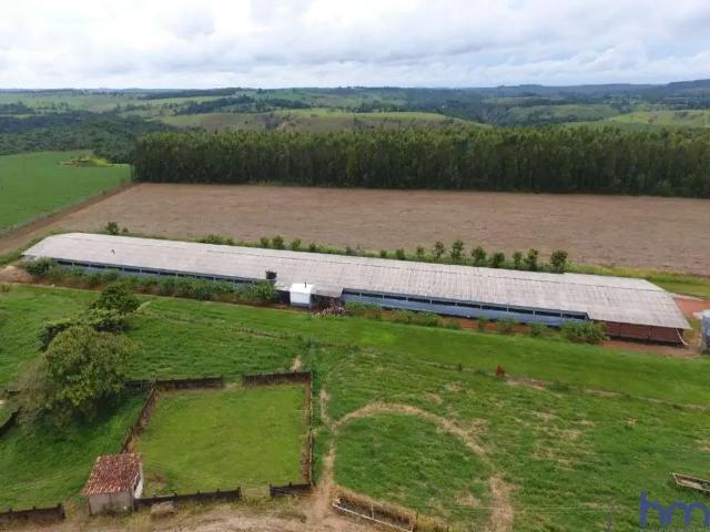 Fazenda venda em Região Geográfica Imediata de Guaraí, Pequizeiro