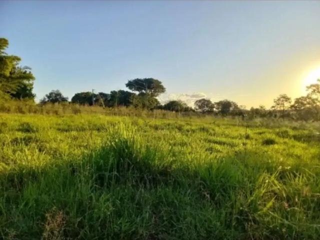 Fazenda venda em Região Geográfica Imediata de Águas Lindas de Goiás, Região Integrada de Desenvolvimento do Distrito Federal e Entorno