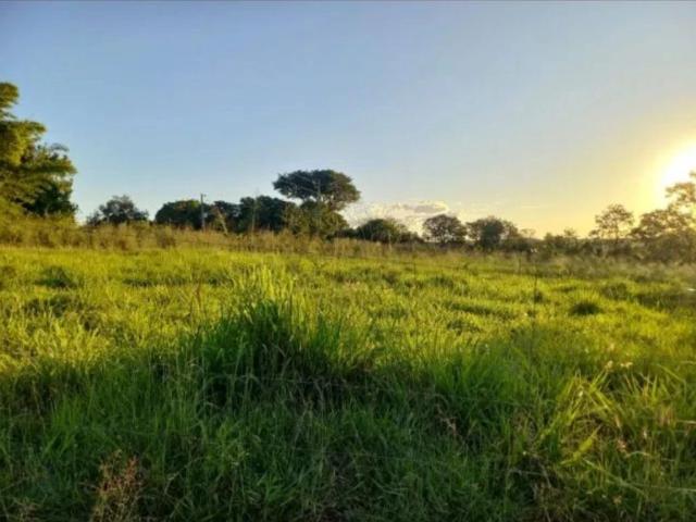 Fazenda venda em Planaltina, Região Geográfica Intermediária de Luziânia-Águas Lindas de Goiás