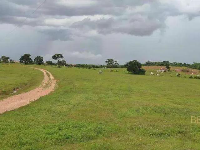 Fazenda venda em Região Geográfica Imediata de Cuiabá, Planalto da Serra