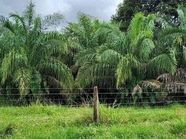 Fazenda venda em Região Geográfica Imediata de Cuiabá, Planalto da Serra