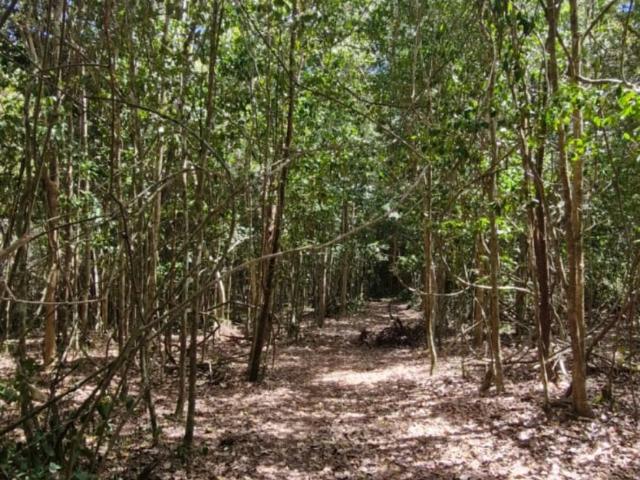Fazenda venda em Planalto, Região Geográfica Intermediária de Vitória da Conquista