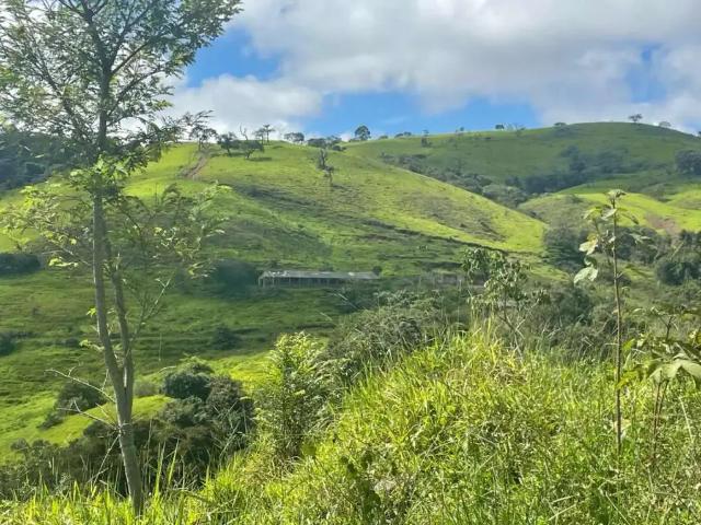 Fazenda venda em Região Geográfica Imediata de Poços de Caldas, Poços de Caldas