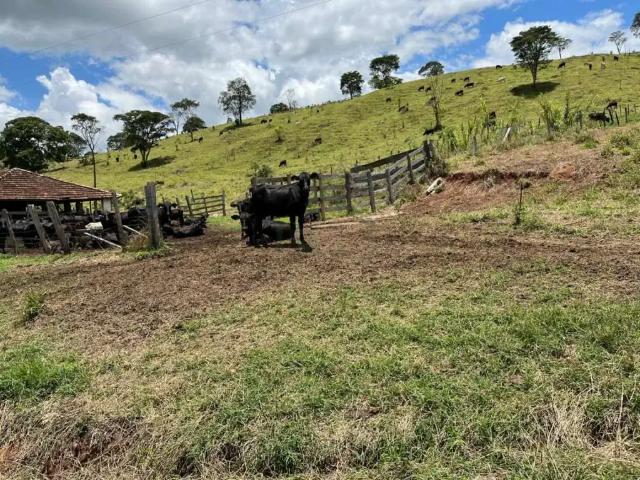 Fazenda venda em Região Geográfica Imediata de Poços de Caldas, Poços de Caldas