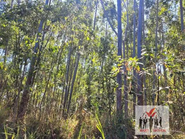 Fazenda venda em Região Geográfica Imediata de Poços de Caldas, Poços de Caldas