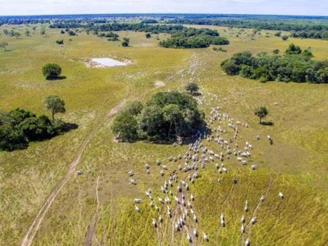 Sítio e chácara venda em Região Geográfica Imediata de Cuiabá, Região Metropolitana do Vale do Rio Cuiabá