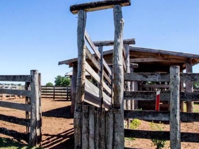 Sítio e chácara venda em Cruz Preta, Poconé