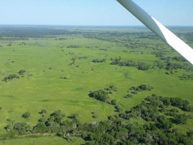 Sítio e chácara venda em Região Geográfica Imediata de Cuiabá, Poconé