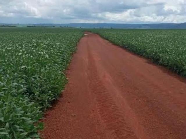 Sítio e chácara venda em Região Geográfica Imediata de Cuiabá, Região Metropolitana do Vale do Rio Cuiabá