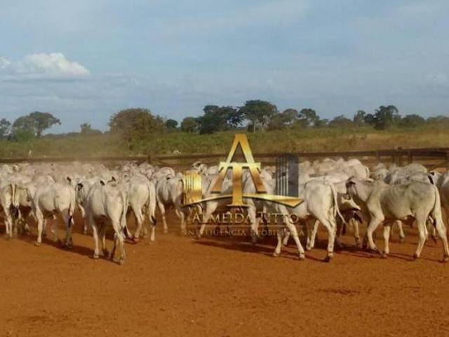Sítio e chácara venda em Região Geográfica Imediata de Cuiabá, Poconé