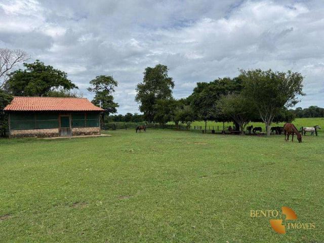 Fazenda venda em Cohab Velha, Poconé