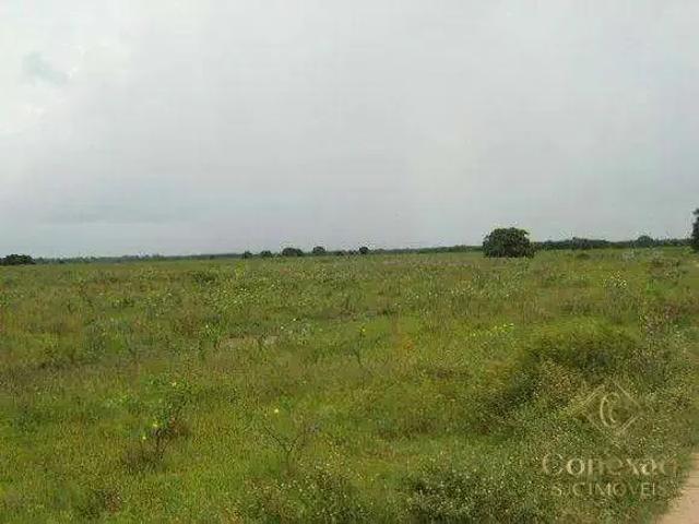 Fazenda venda em Região Geográfica Imediata de Cuiabá, Poconé
