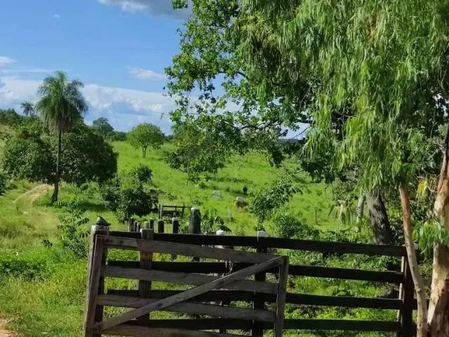 Fazenda venda em Região Geográfica Imediata de Cuiabá, Poconé