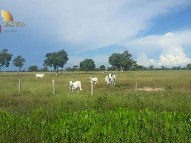 Fazenda venda em São Benedito, Poconé