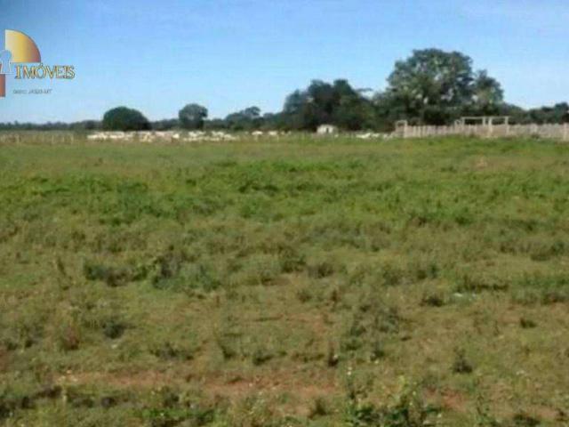 Fazenda venda em São Benedito, Poconé