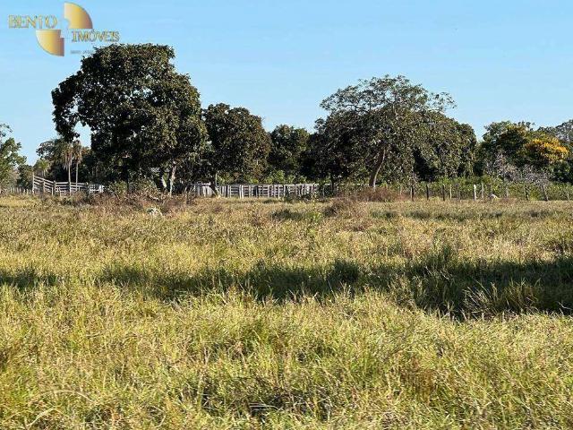 Fazenda venda em São Benedito, Poconé