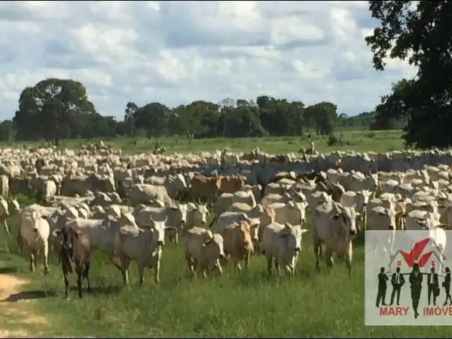 Fazenda venda em Região Geográfica Imediata de Cuiabá, Poconé