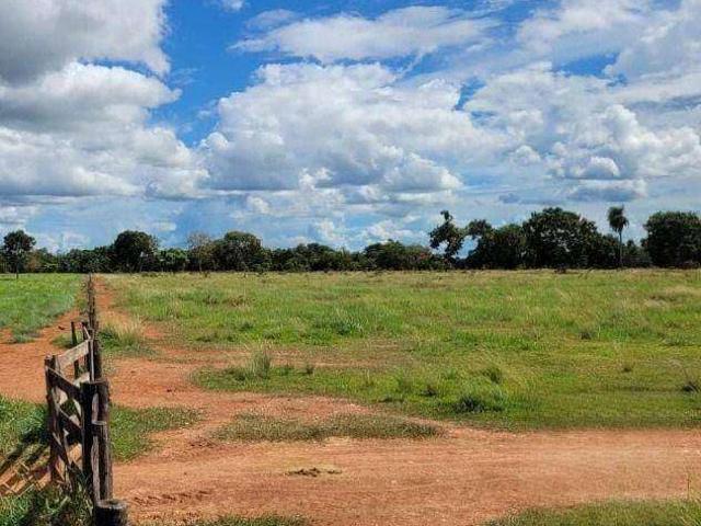 Fazenda venda em São Benedito, Poconé