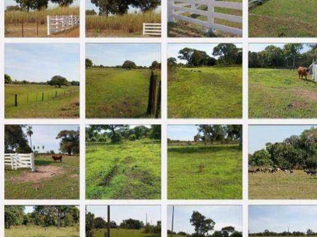 Fazenda venda em São Benedito, Poconé