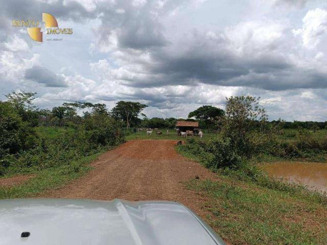 Fazenda venda em São Benedito, Poconé