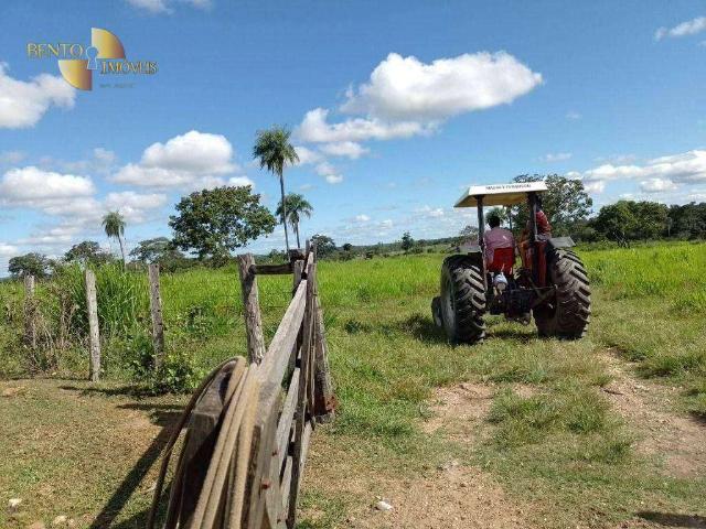 Fazenda venda em São Benedito, Poconé