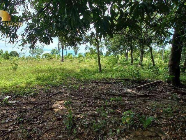 Fazenda venda em São Benedito, Poconé