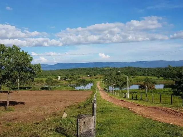 Fazenda venda em Região Imediata de Avaré, Paranapanema