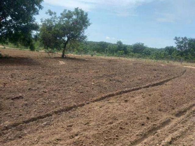 Fazenda venda em São Benedito, Poconé