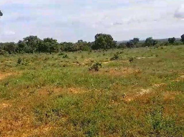 Fazenda venda em São Benedito, Poconé