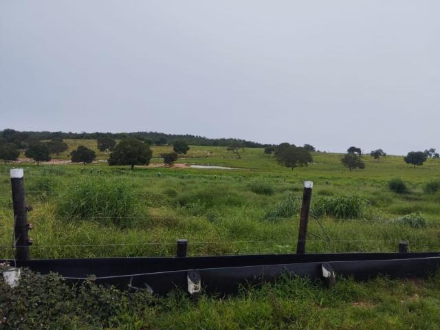 Fazenda venda em Região Geográfica Imediata de Cuiabá, Poconé