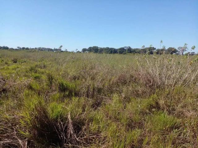 Fazenda venda em Região Geográfica Imediata de Cuiabá, Poconé