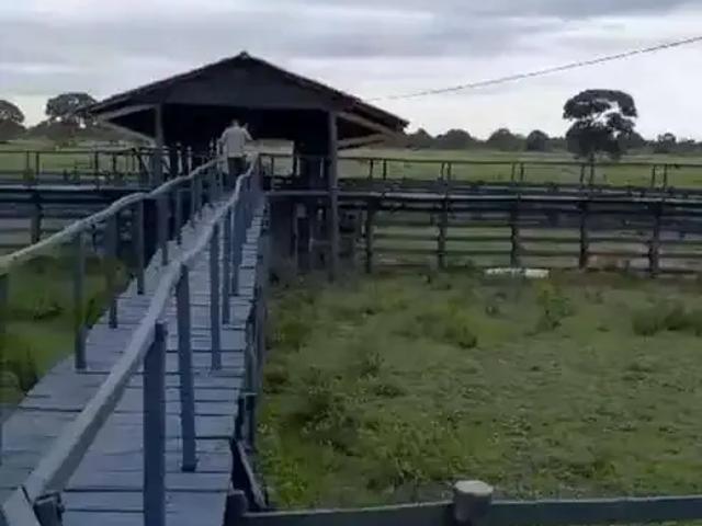 Fazenda venda em Região Geográfica Imediata de Cuiabá, Poconé