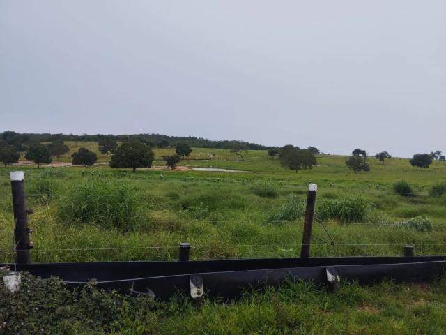 Fazenda venda em São Benedito, Poconé