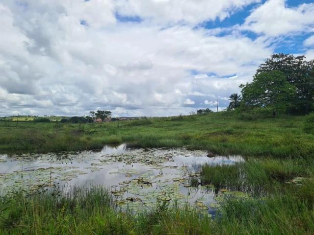 Fazenda venda em Pojuca